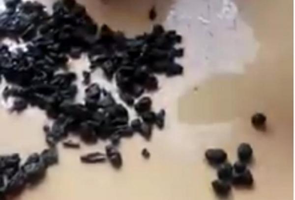 خطير بالفيديو .. شاي ممزوج بفضلات الفئران يباع للمواطنين في أسواق وجدة 