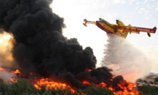 حريق مهول يلتهم غابة في الشريط الساحلي المضيق الفنيدق ويخلف خسائر فادحة