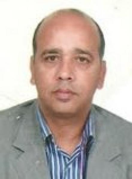 لما تقتلنا الديمقراطية؟