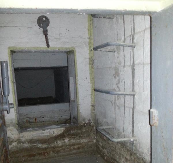 بالفيديو: شاهد ماذا وجد هذا الطالب في قبو سكنه الجامعي