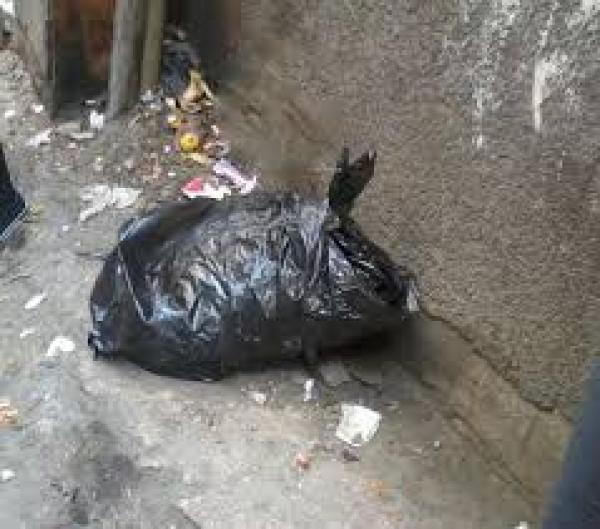 الصورة من الأرشيف