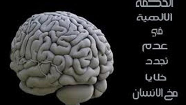 الحكمة الالهية في عدم تجدد خلايا مخ الانسان