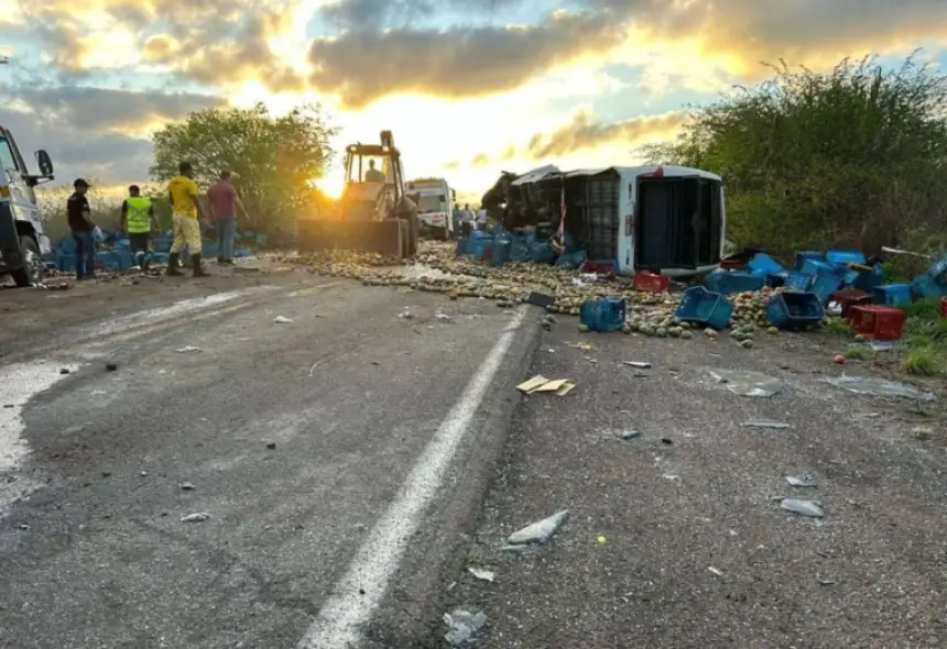 حادث مروع في البرازيل.. مصرع 12 طالباً وإصابة 21 في تصادم حافلة بشاحنة