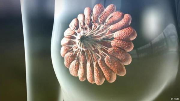 دراسة: الناجيات من سرطان الثدي قد يعانين من مشكلات نفسية