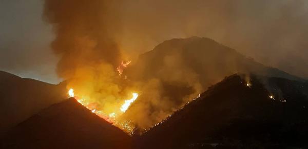 "أخبارنا" تروي تفاصيل مثيرة حول الحريق المهول الذي التهم مئات الهكتارات نواحي الدريوش