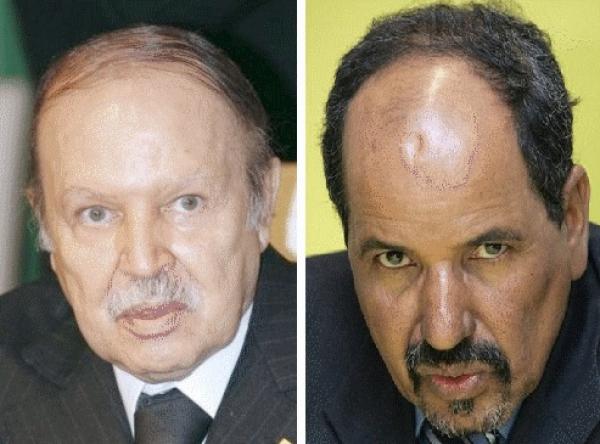 الجزائر تريد الحسم في ملف الصحراء سنة 2014 مهما كلف الثمن