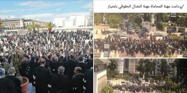 خبير بمعهد "باستور" يقطر الشمع على المحامين بسبب وقفتهم الاحتجاجية ويحذر من موجة جديدة لفيروس كورونا بالبيضاء