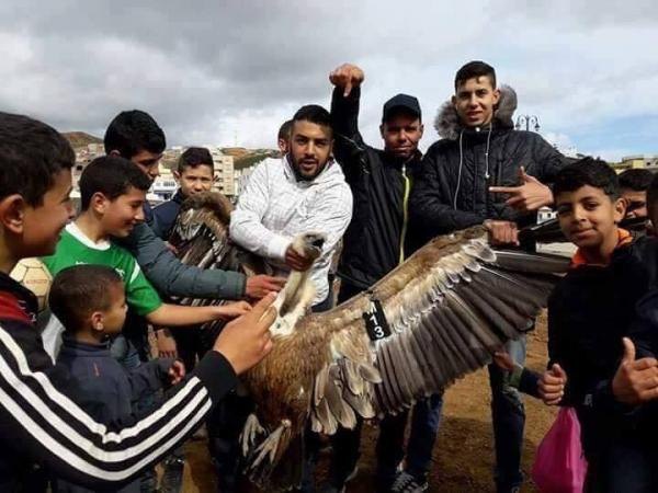 بالتفاصيل .. فتح تحقيق في حادث احتجاز شباب قاصرين بالفنيدق لنسر أطلقته مندوبية المياه والغابات في البرية