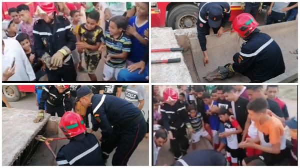 بالفيديو: موقف إنساني لرجال الوقاية المدنية بعد إنقاذ قطة صغيرة علقت يومين دون طعام أو شراب