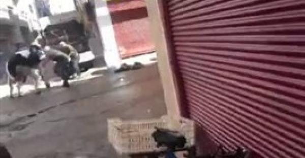 بالفيديو.. عجل يتغلب على 10 أشخاص ويفر منهم قبل ذبحه