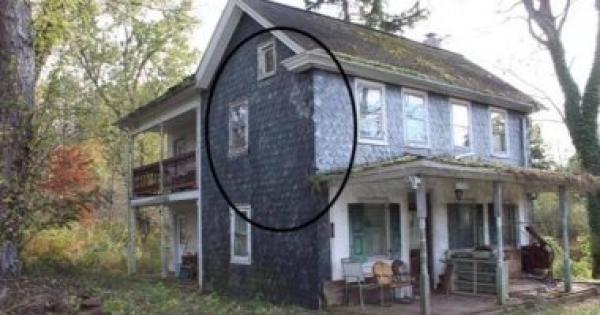 يتفاجأن بخلية تضم نصف مليون نحلة على الجدران بعد شراء منزل جديد