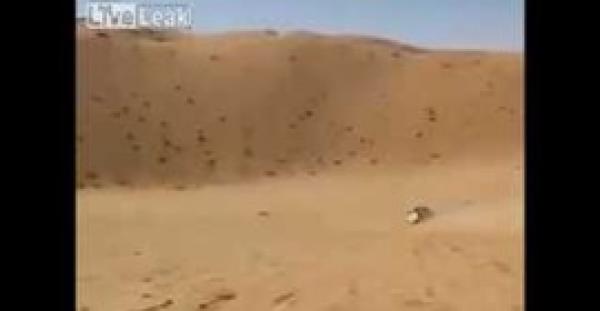 بالفيديو.. سعودي ينفذ تحديا مثيرا بصعود تل عمودي بسيارته