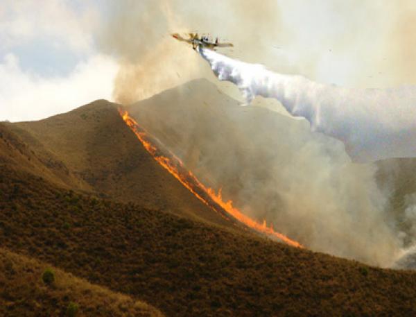 حريق ضخم يلتهم قرابة 17 هكتار من الغابة شمال أكادير