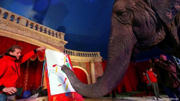 خرطوم الفيل "يلهم" صانعي الروبوت!