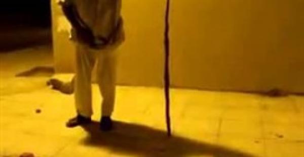 بالفيديو : مطاردة شرسة بين شباب وثعبان أسود