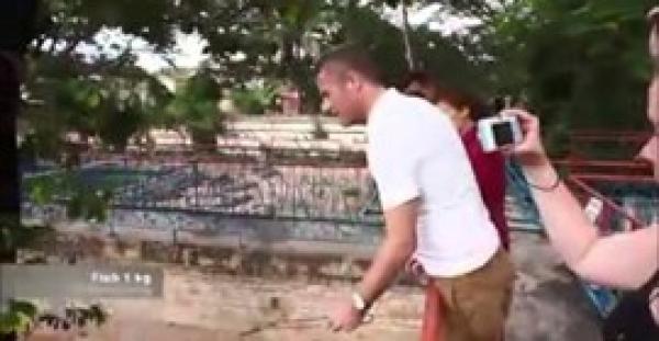 بالفيديو.. بطة تتلقى مصيرا مأساويا وسط مستعمرة من التماسيح