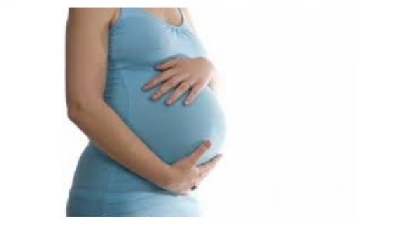 إن كنت حاملا ، فعليك بحب الملوك