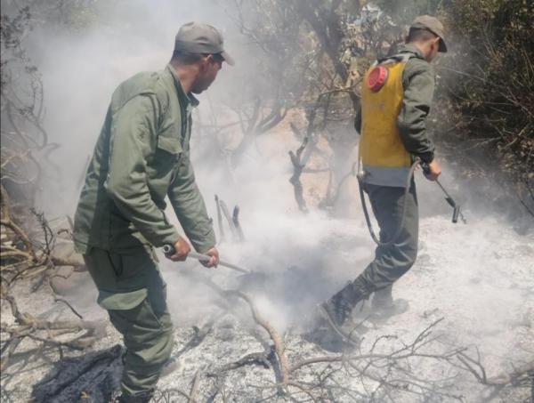 أتى على 100 هكتار من الغطاء الغابوي.. تعزيزات بشرية وتقنية جديدة للسيطرة على حريق إقليم تطوان