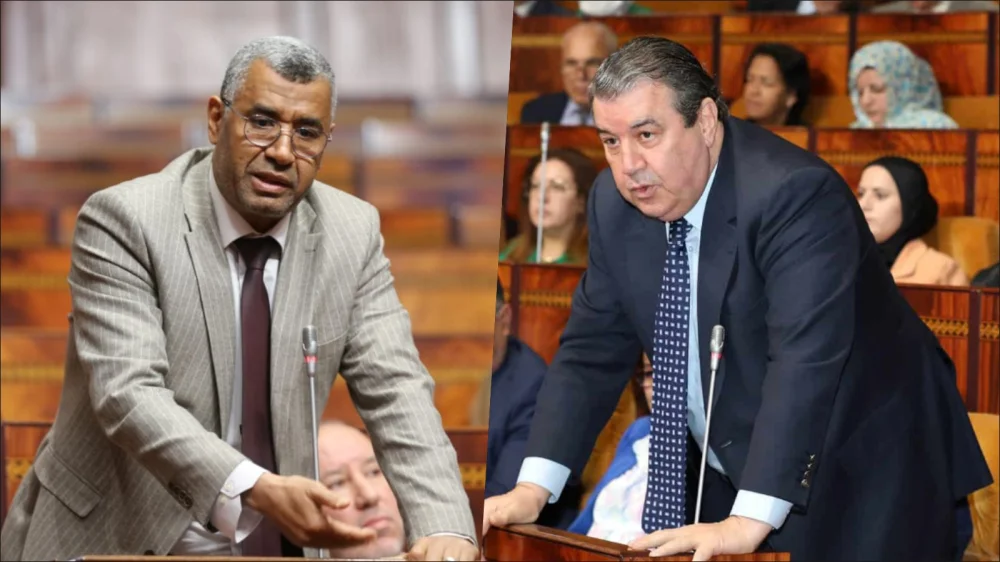 برلمانية عن حزب "الأحرار" تثير "قربالة" بالبرلمان بعد اتهامها المعارضة بخدمة أجندات معادية للمغرب