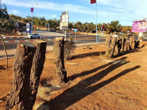 الفرقة الوطنية تدخل على خط جريمة "بيئية" بسيدي بوزيد.. التفاصيل