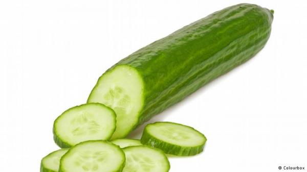 من أجل صحتك.. سبعة أسباب لتناول خيارة كل يوم