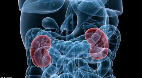 يئست من الحياة..فتبرعت بكليتها للمحتاجين