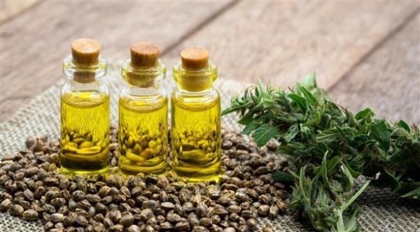 الهيئة الأوروبية لسلامة الأغذية تقرر تعليق تقييم مادة الكانابيديول بسبب نقص البيانات