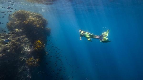 وظيفة غريبة ..تعمل كحورية بحر بدوام كامل وتتقاضى راتباً مقابل ذلك