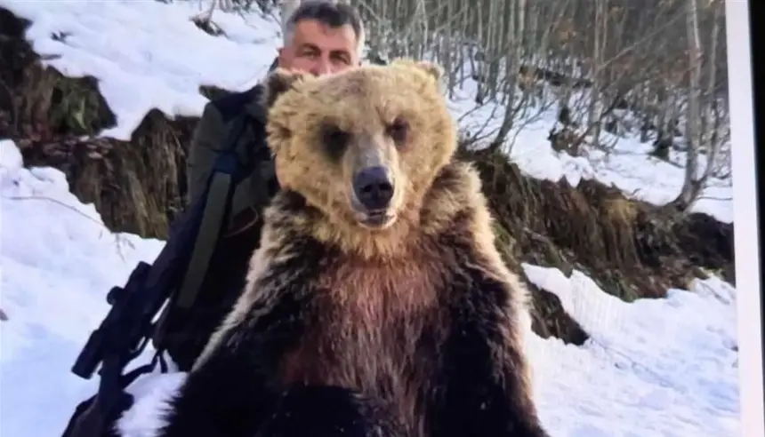 إقالة مسؤول في مقدونيا الشمالية بعد صور مثيرة للجدل مع دب ميت