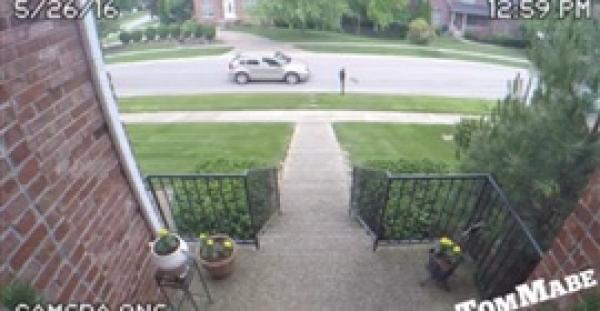 بالفيديو.. أسرة تلقن لصا حاول سرقة منزلهم درسا قاسيا