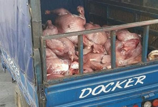 الصورة تعبيرية فقط