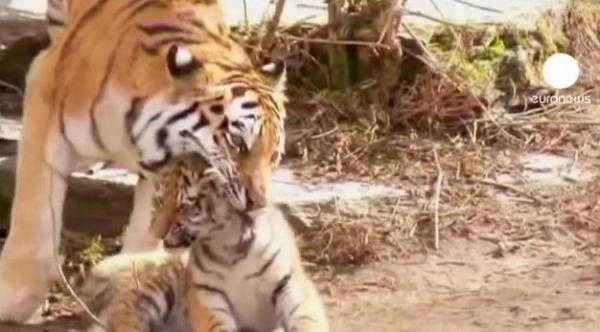 صورة تعبيرية من الارشيف