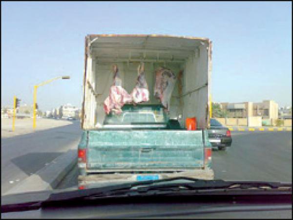 طرق بدائية لنقل اللحوم ببعض أحياء أكادير...وأخطار صحية تهدد الساكنة في ظل غياب رقابة حقيقية وصارمة