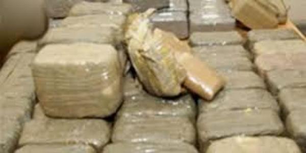 إقليم طاطا .. حجز حوالي طن و700 كلغ من مخدر الشيرا