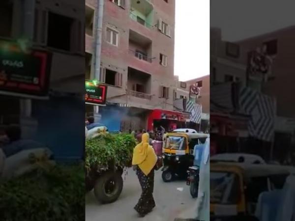 بالفيديو...شخص يفاجئ الجميع ويقوم برمي أوراق نقدية حقيقية على المارة من نافذة منزله