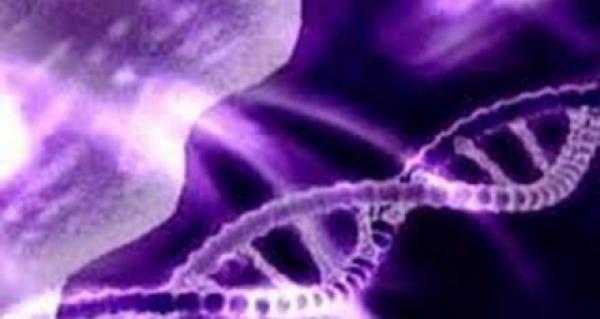 اكتشاف الجينات المسؤولة عن العذرية