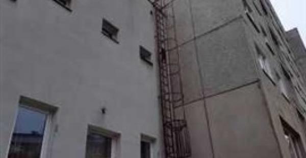 بالفيديو.. قط «نينجا» يصعد على سلم عمودي بسهولة