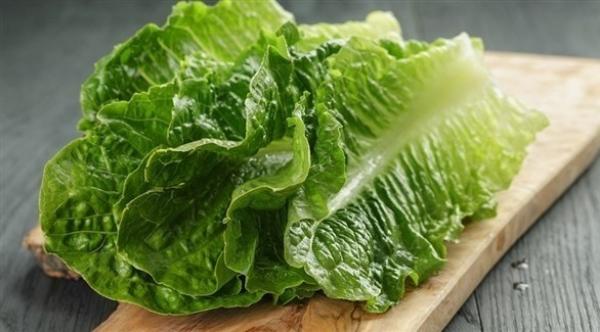 فوائد جمة تجعل تناول الخس بعد سن 40 ضرورة