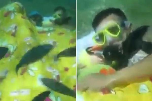 بالفيديو: غواصان يحولان قاع البحر إلى غرفة نوم