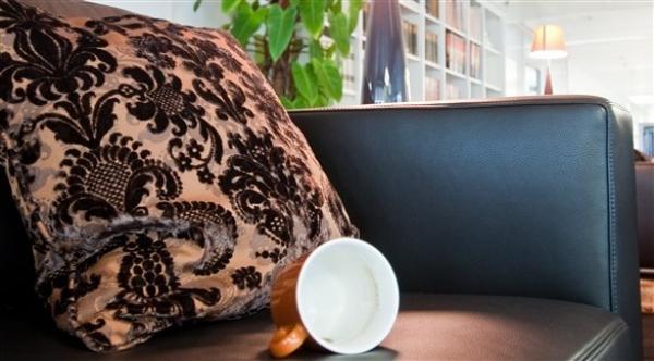 الفُتات يؤذي الأثاث الجلدي