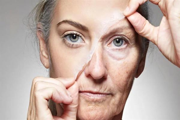 باحثون يكتشفون استراتيجية جديدة يمكنها القضاء على شيخوخة الخلايا!