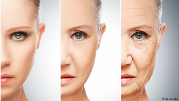 راباميسين .. هل يصبح "أكسير الشباب" للنساء فقط؟