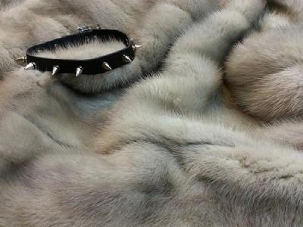 النرويج ستحظر تربية الحيوانات ذات الفراء بحلول عام 2025