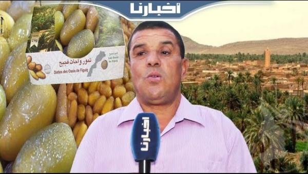 نهبت الجزائر جزءاً منها.. تعرف على "أزيزا" الفصيلة النادرة من بين أجود تمور العالم بواحة فجيج