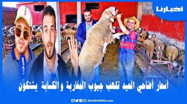 الكسابة يشتكون