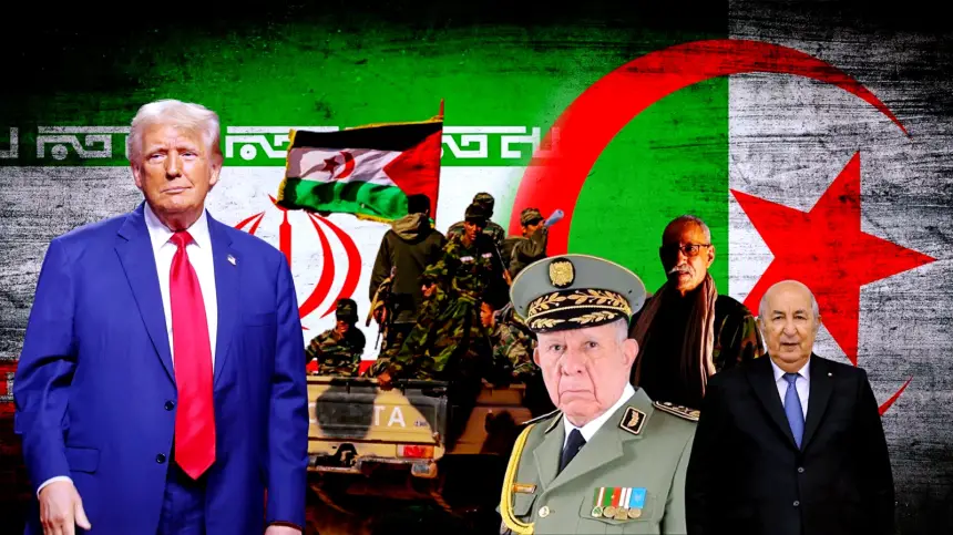 دعم متصاعد لتصنيف البوليساريو "منظمة إرهابية".. انضمام داعمين جدد للمقترح الأمريكي يقرب القرار من التنفيذ