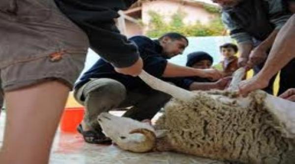 هذا هو موقف الوزيرة أفيلال من التفاخر بنشر صور رؤوس الأضاحي على الفايسبوك 