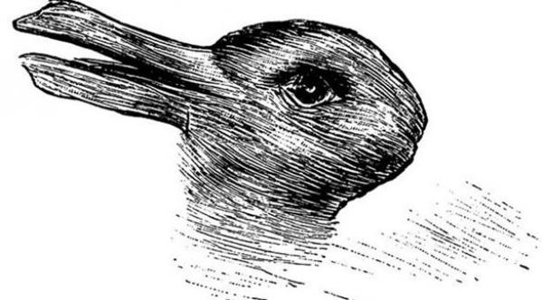 هل ترى في الصورة بطة أم أرنب؟ الإجابة تحدد شخصيتك