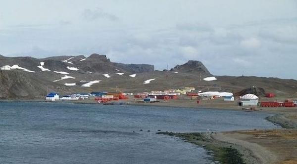 مدينة تشترط إزالة الزائدة الدودية للإقامة فيها