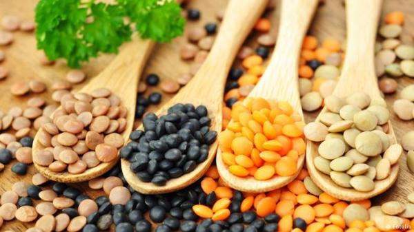 العدس: موائد الأغنياء تحتفي بـ"لحم الفقير"!